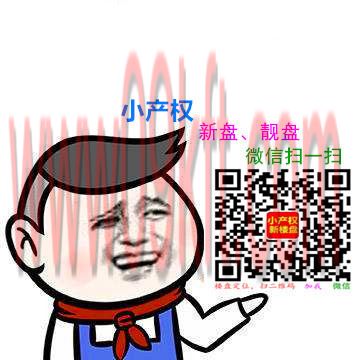 拆迁大产权和小产权有什么区别